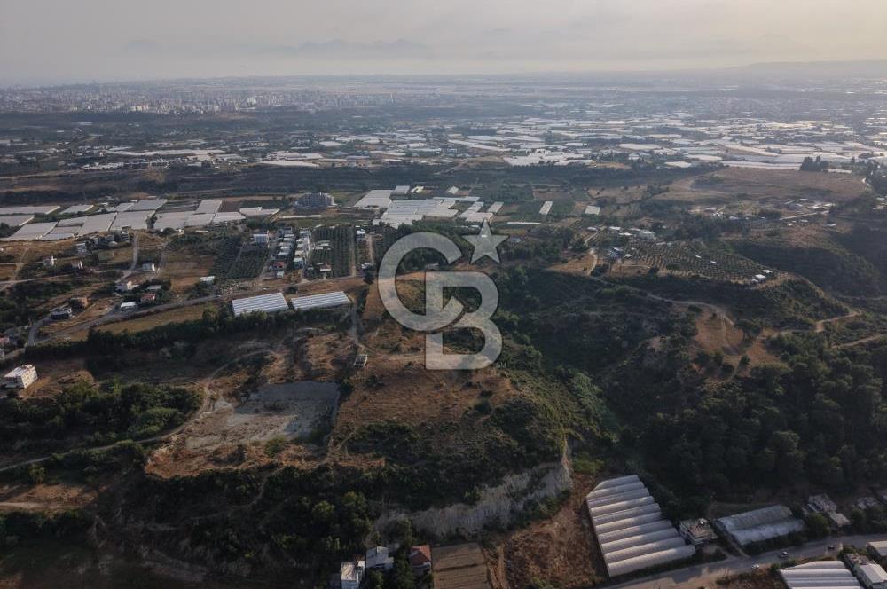 Antalya Aksu Çalkaya Satılık 5.5M TL Takaslı Tarla