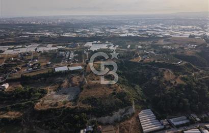 Antalya Aksu Çalkaya Satılık 5.5M TL Takaslı Tarla