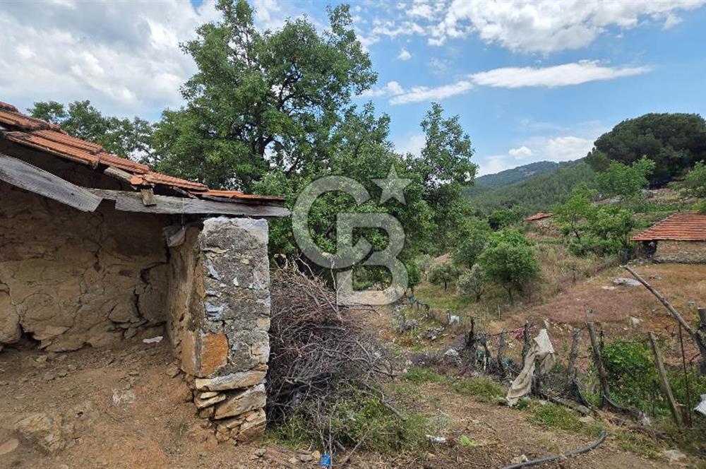 Balıkesir Burhaniye Kuyumcu'da Satılık Dam ve Arsası 