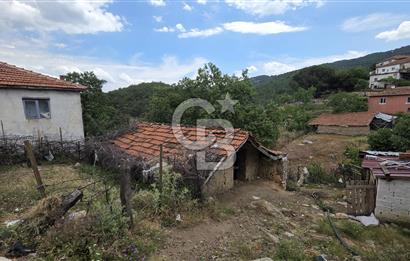 Balıkesir Burhaniye Kuyumcu'da Satılık Dam ve Arsası 