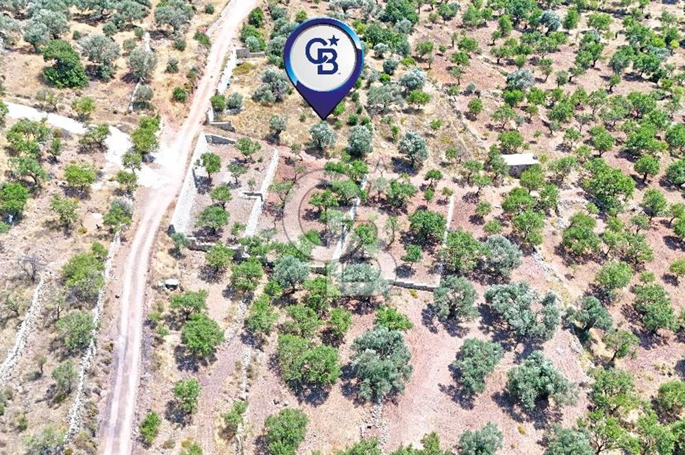 DATÇA CUMALI MAHALLESİ'NDE 1997m2 SATILIK BADEMLİK