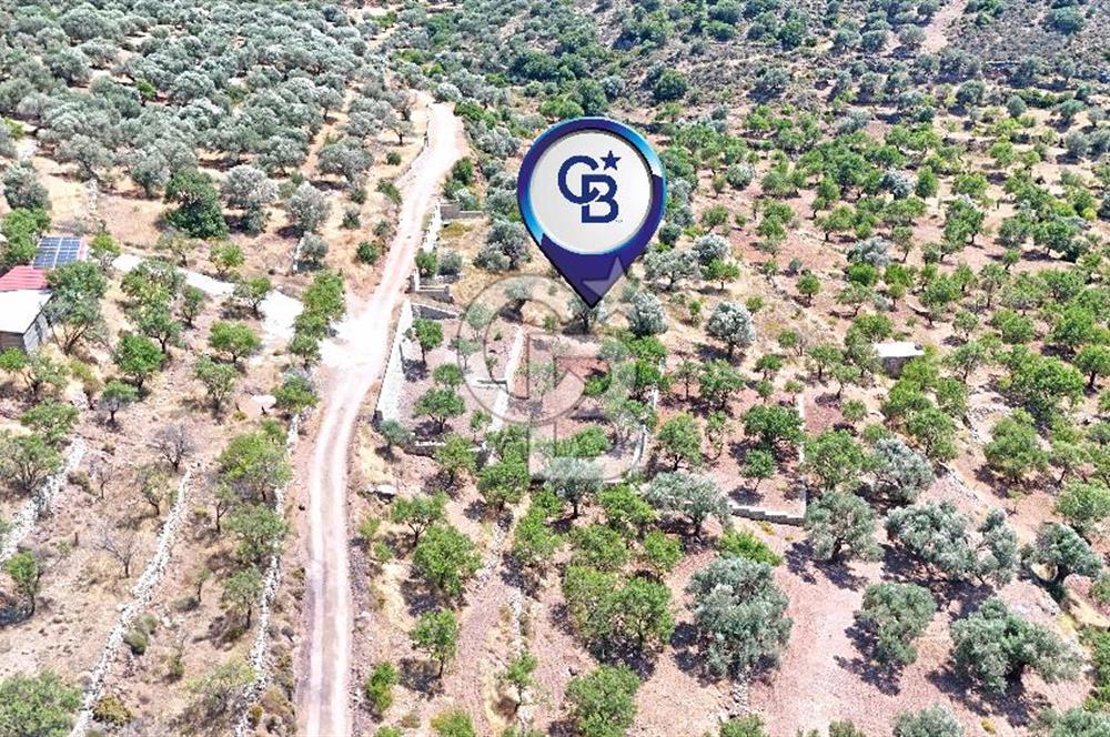 DATÇA CUMALI MAHALLESİ'NDE 1997m2 SATILIK BADEMLİK