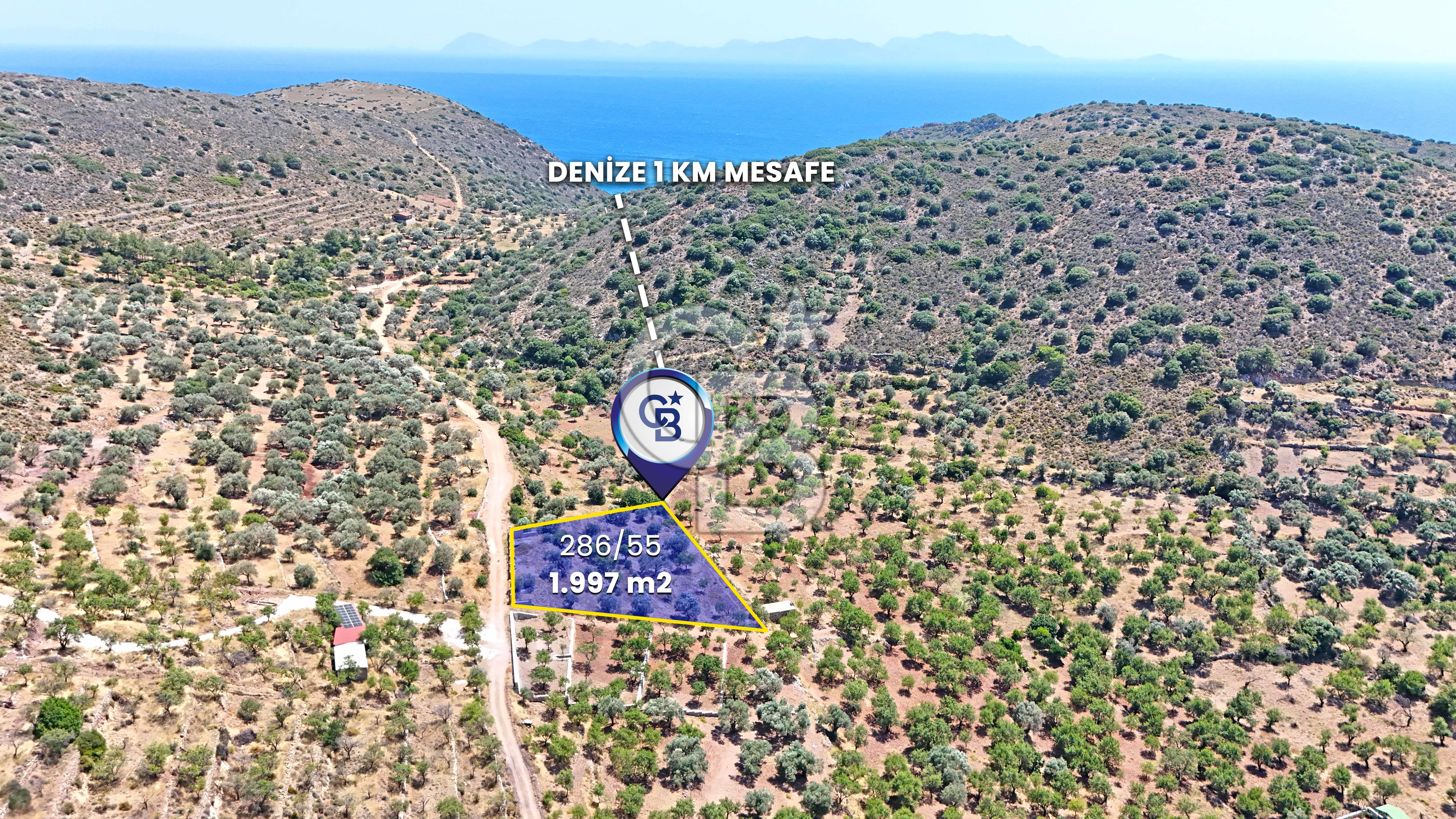 DATÇA CUMALI MAHALLESİ'NDE 1997m2 SATILIK BADEMLİK