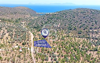 DATÇA CUMALI MAHALLESİ'NDE 1997m2 SATILIK BADEMLİK