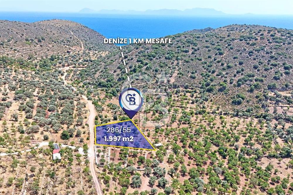 DATÇA CUMALI MAHALLESİ'NDE 1997m2 SATILIK BADEMLİK