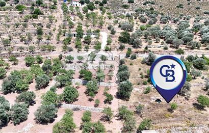 DATÇA CUMALI MAHALLESİ'NDE 1997m2 SATILIK BADEMLİK