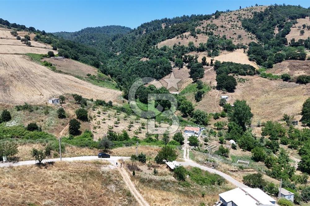 ÇANAKKALE ÇAN OSMAN EFENDİ MAH. SATILIK ARSA