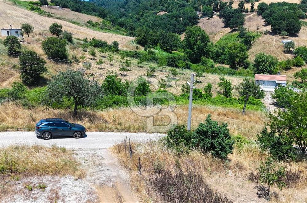 ÇANAKKALE ÇAN OSMAN EFENDİ MAH. SATILIK ARSA