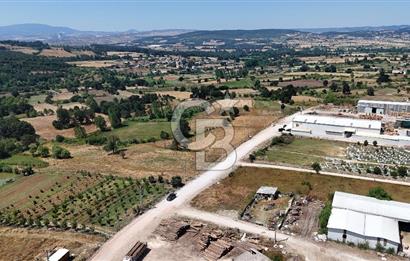 ÇANAKKALE ÇAN TERZİALAN DA SATILIK TİCARİ ARSA