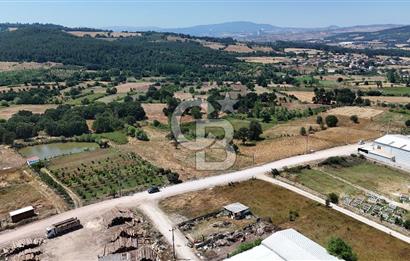 ÇANAKKALE ÇAN TERZİALAN DA SATILIK TİCARİ ARSA