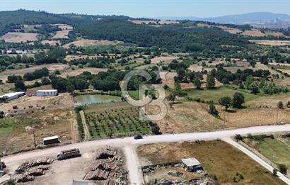 ÇANAKKALE ÇAN TERZİALAN DA SATILIK TİCARİ ARSA
