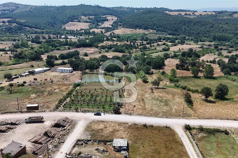 ÇANAKKALE ÇAN TERZİALAN DA SATILIK TİCARİ ARSA