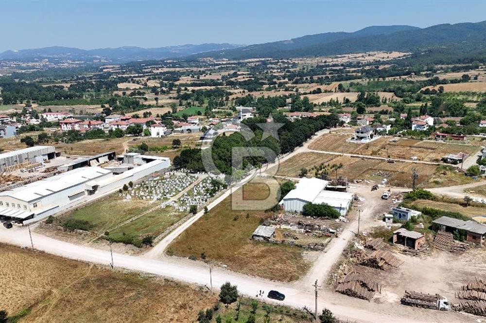 ÇANAKKALE ÇAN TERZİALAN DA SATILIK TİCARİ ARSA