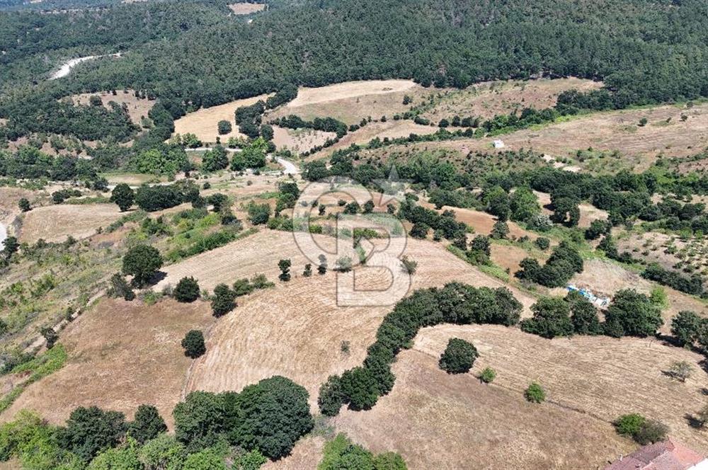ÇANAKKALE ÇAN BARDAKÇILAR KÖYÜ KÖY İÇİ KONUMDA SATILIK 2 PARSEL