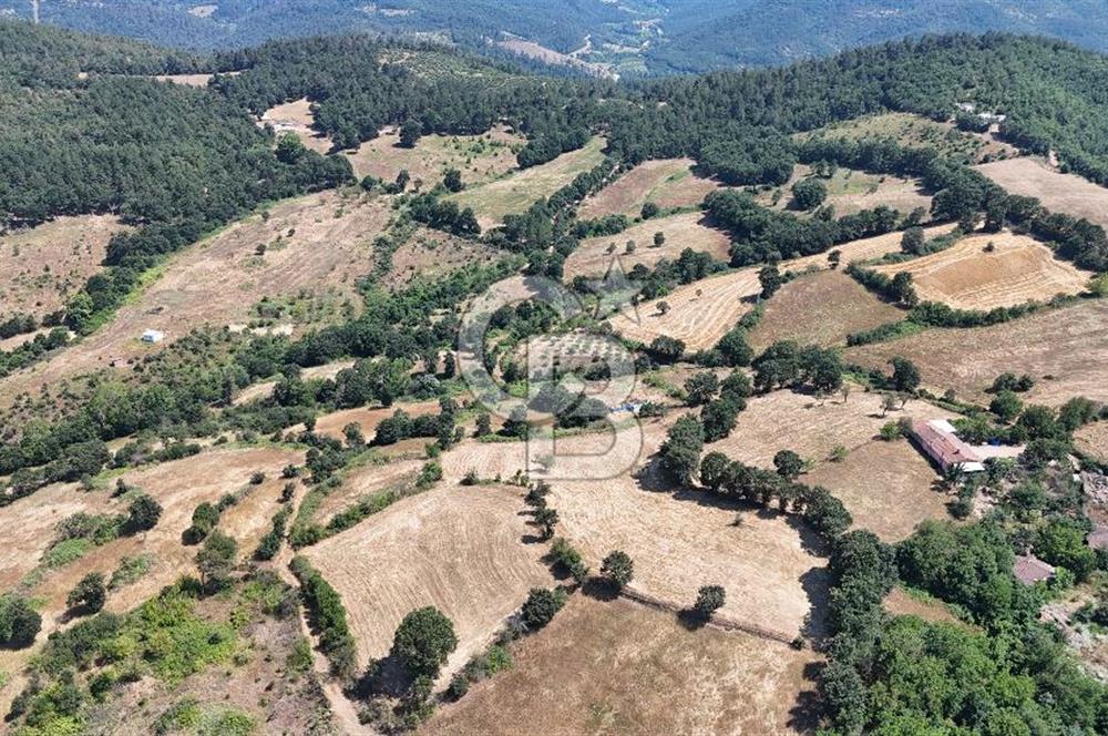 ÇANAKKALE ÇAN BARDAKÇILAR KÖYÜ KÖY İÇİ KONUMDA SATILIK 2 PARSEL