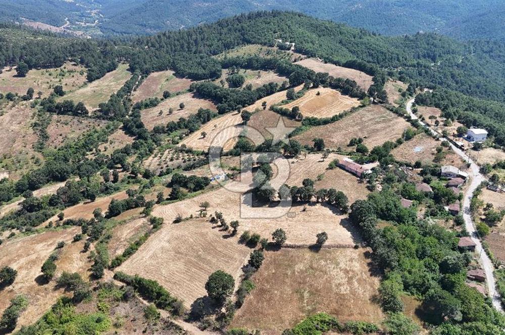 ÇANAKKALE ÇAN BARDAKÇILAR KÖYÜ KÖY İÇİ KONUMDA SATILIK 2 PARSEL