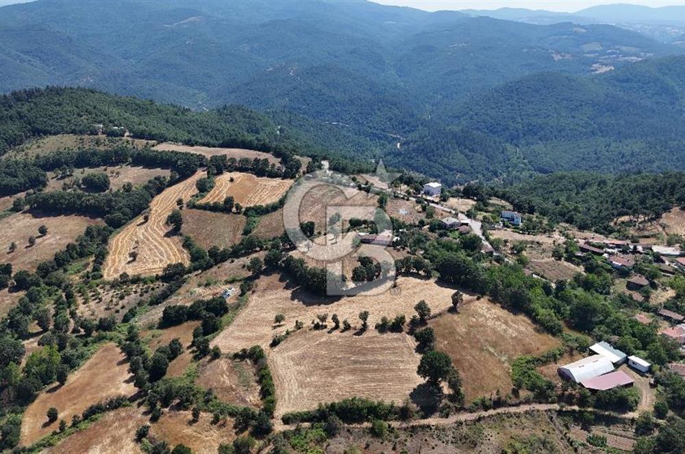 ÇANAKKALE ÇAN BARDAKÇILAR KÖYÜ KÖY İÇİ KONUMDA SATILIK 2 PARSEL