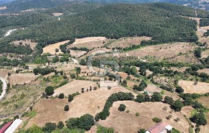 ÇANAKKALE ÇAN BARDAKÇILAR KÖYÜ KÖY İÇİ KONUMDA SATILIK 2 PARSEL