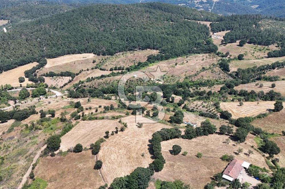 ÇANAKKALE ÇAN BARDAKÇILAR KÖYÜ KÖY İÇİ KONUMDA SATILIK 2 PARSEL