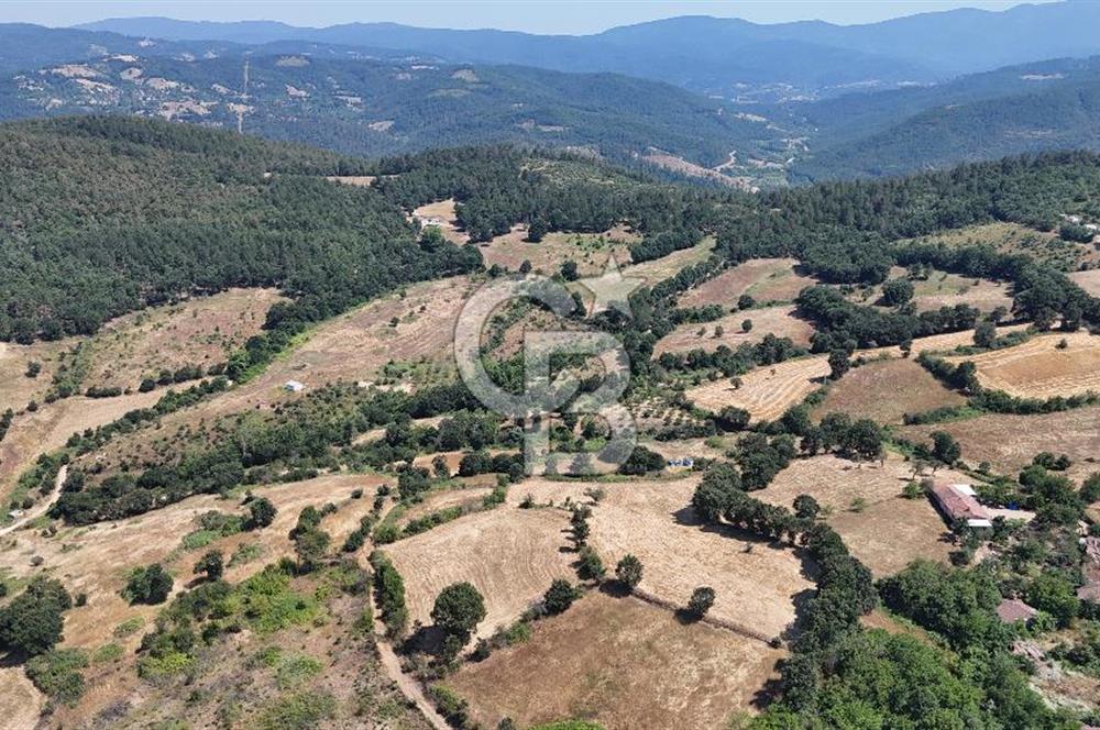 ÇANAKKALE ÇAN BARDAKÇILAR KÖYÜ KÖY İÇİ KONUMDA SATILIK 2 PARSEL