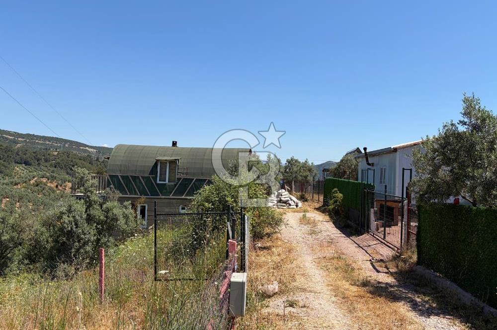 CB SILVER'DAN GEMLİK KURTUL'DA SATILIK HOBİ BAHÇESİ