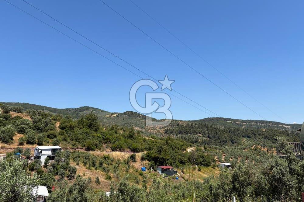 CB SILVER'DAN GEMLİK KURTUL'DA SATILIK HOBİ BAHÇESİ