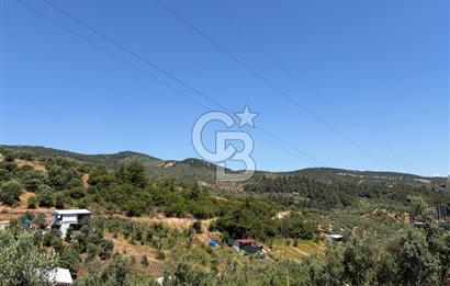 CB SILVER'DAN GEMLİK KURTUL'DA SATILIK HOBİ BAHÇESİ