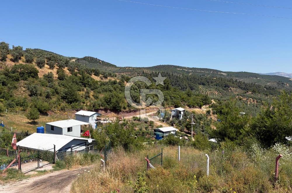 CB SILVER'DAN GEMLİK KURTUL'DA SATILIK HOBİ BAHÇESİ