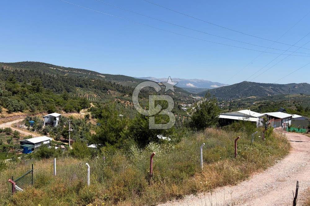 CB SILVER'DAN GEMLİK KURTUL'DA SATILIK HOBİ BAHÇESİ