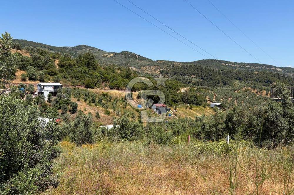 CB SILVER'DAN GEMLİK KURTUL'DA SATILIK HOBİ BAHÇESİ