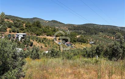 CB SILVER'DAN GEMLİK KURTUL'DA SATILIK HOBİ BAHÇESİ