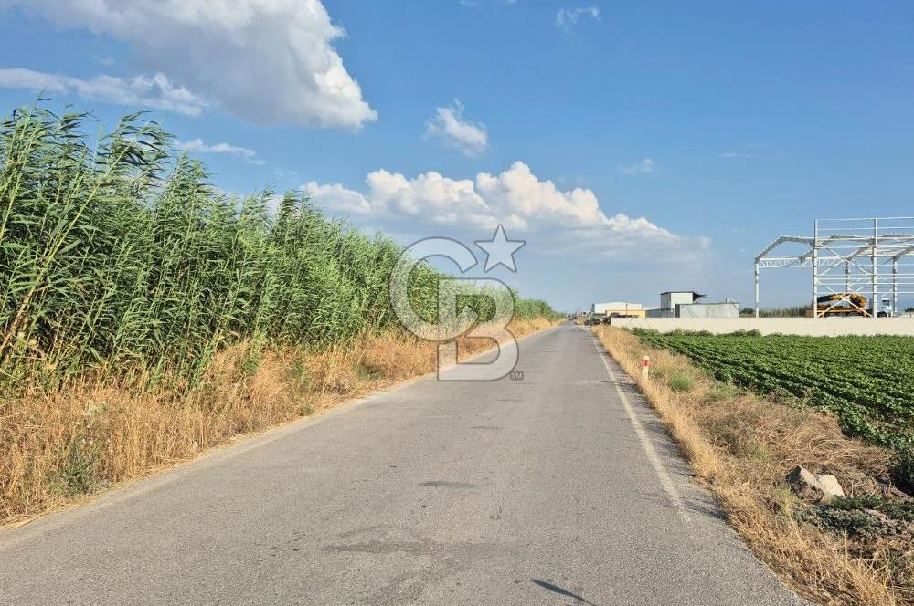 Izmir Menemen Ulucak'ta Depo Yapımına Uygun Satılık Tarla