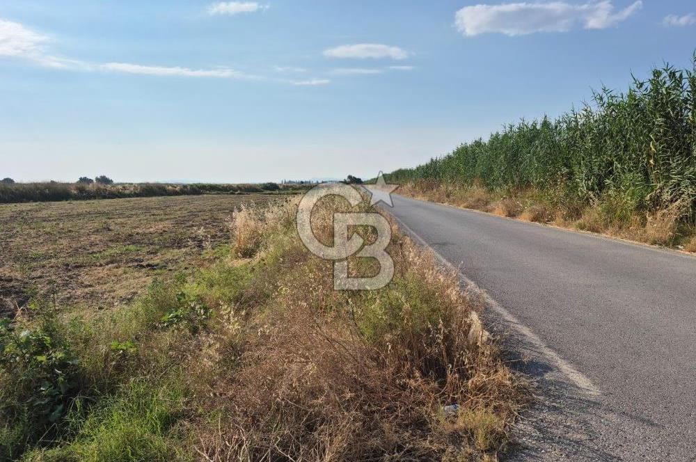 Izmir Menemen Ulucak'ta Depo Yapımına Uygun Satılık Tarla