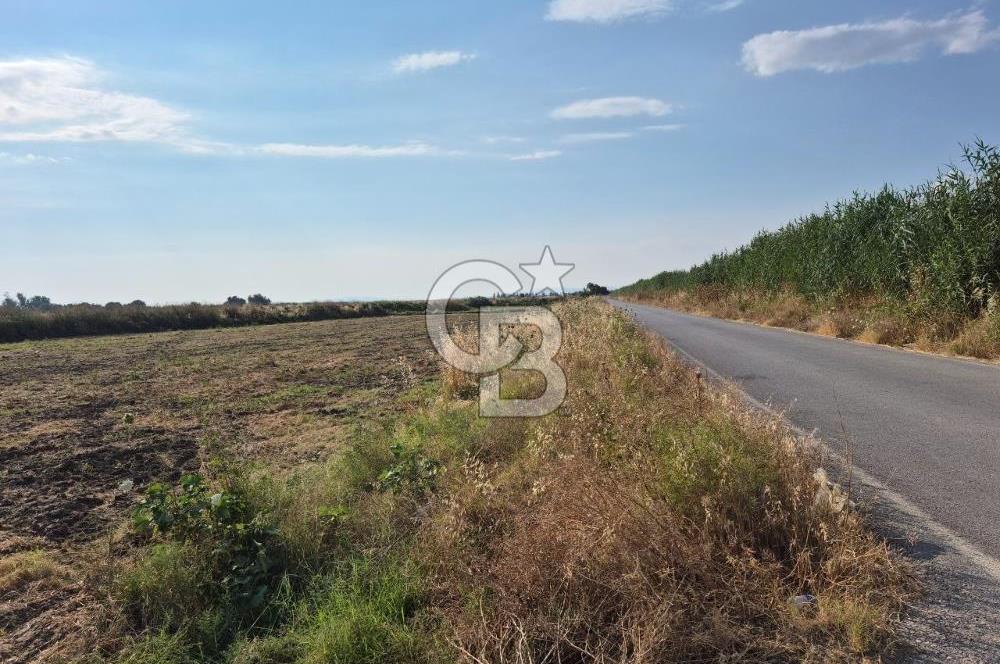 Izmir Menemen Ulucak'ta Depo Yapımına Uygun Satılık Tarla