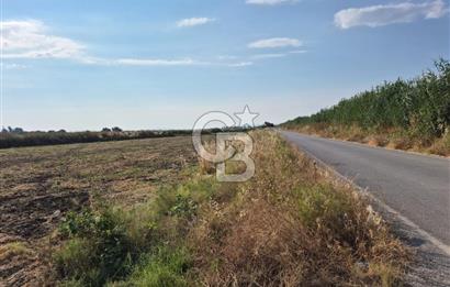 Izmir Menemen Ulucak'ta Depo Yapımına Uygun Satılık Tarla