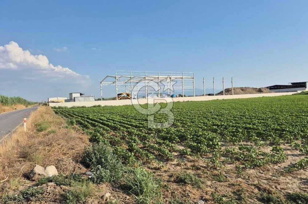 Izmir Menemen Ulucak'ta Depo Yapımına Uygun Satılık Tarla