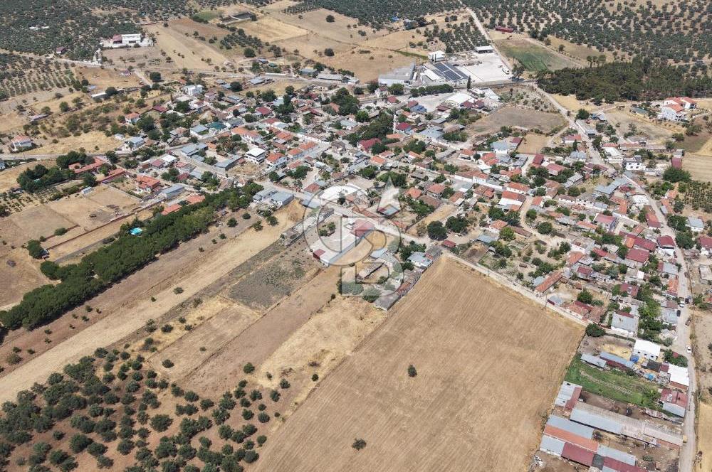 Geyikli Mecidiye Köyü'nde Villa İmarlı 1.812 m² Satılık Arsa