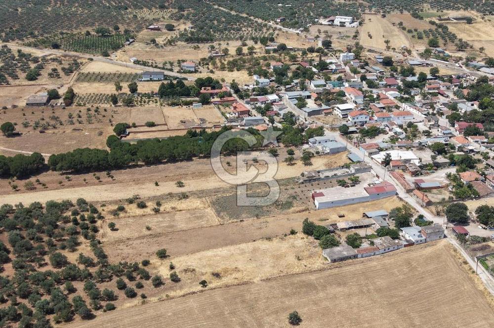Geyikli Mecidiye Köyü'nde Villa İmarlı 1.812 m² Satılık Arsa