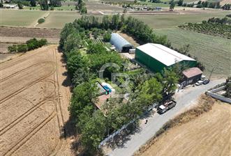 ÇATALCA'DA KAÇIRILMAYACAK FIRSAT! 8.800 m² KURULU ÇİFTLİK - 2 - 357709