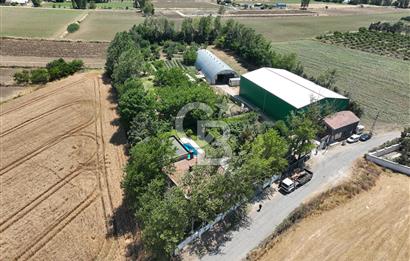 ÇATALCA'DA KAÇIRILMAYACAK FIRSAT! 8.800 m² KURULU ÇİFTLİK