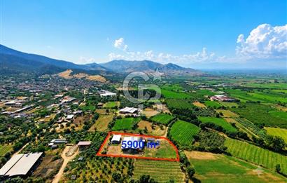 ÖDEMİŞ'TE İMARLI ALANA KOMŞU SATILIK 5900 m² MÜSTAKİL ÇİFTLİK