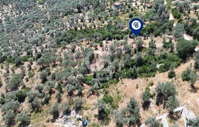 Karaburun Kösedere'de Panoramik Deniz Manzaralı Satılık Tarla