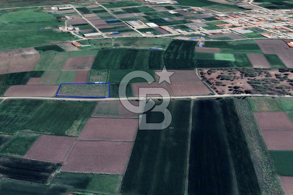 🌿 CB KING'DEN ALTIEYLÜL ÇANDIR MAHALLESİ'NDE SATILIK 2.975 M² TARLA 🌿