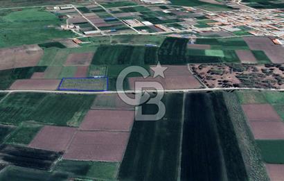 🌿 CB KING'DEN ALTIEYLÜL ÇANDIR MAHALLESİ'NDE SATILIK 2.975 M² TARLA 🌿