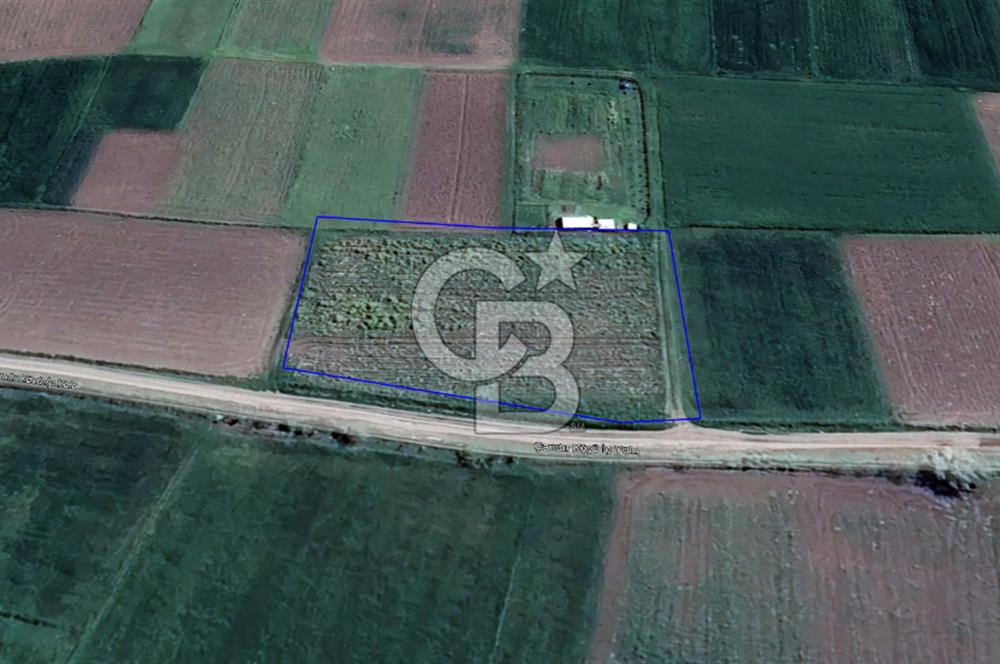 🌿 CB KING'DEN ALTIEYLÜL ÇANDIR MAHALLESİ'NDE SATILIK 2.975 M² TARLA 🌿