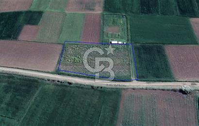 🌿 CB KING'DEN ALTIEYLÜL ÇANDIR MAHALLESİ'NDE SATILIK 2.975 M² TARLA 🌿