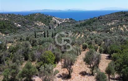Karaburun Kösedere'de Panoramik Deniz Manzaralı Satılık Tarla