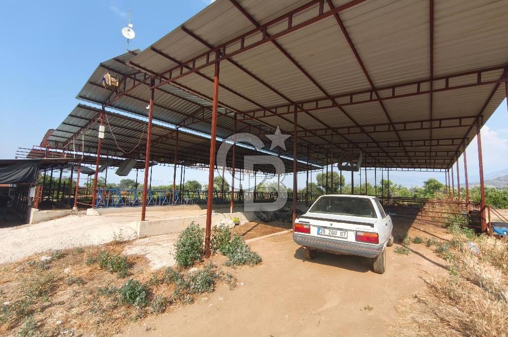 ÖDEMİŞ'TE İMARLI ALANA KOMŞU SATILIK 5900 m² MÜSTAKİL ÇİFTLİK