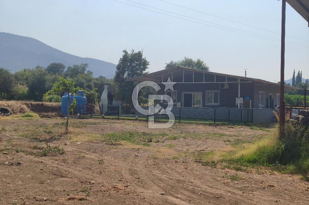 ÖDEMİŞ'TE İMARLI ALANA KOMŞU SATILIK 5900 m² MÜSTAKİL ÇİFTLİK