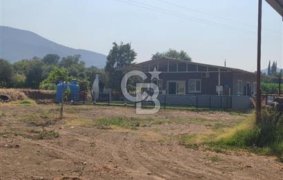 ÖDEMİŞ'TE İMARLI ALANA KOMŞU SATILIK 5900 m² MÜSTAKİL ÇİFTLİK